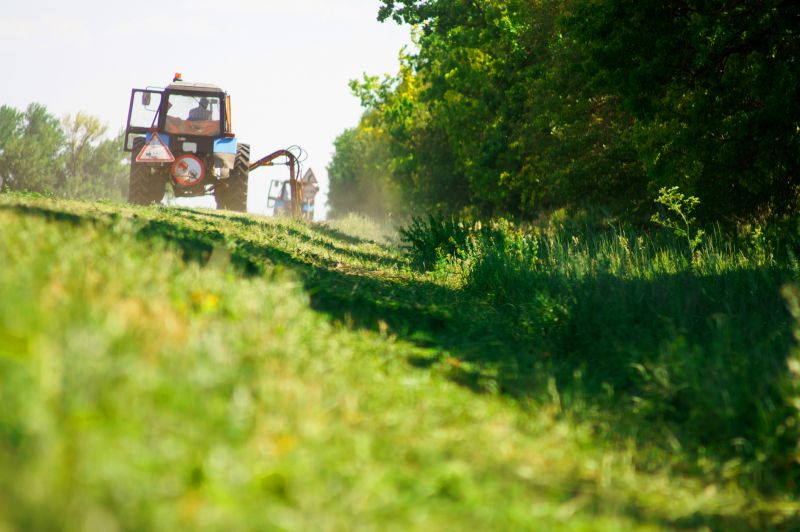 Brush Clearing Service in Cumming, GA