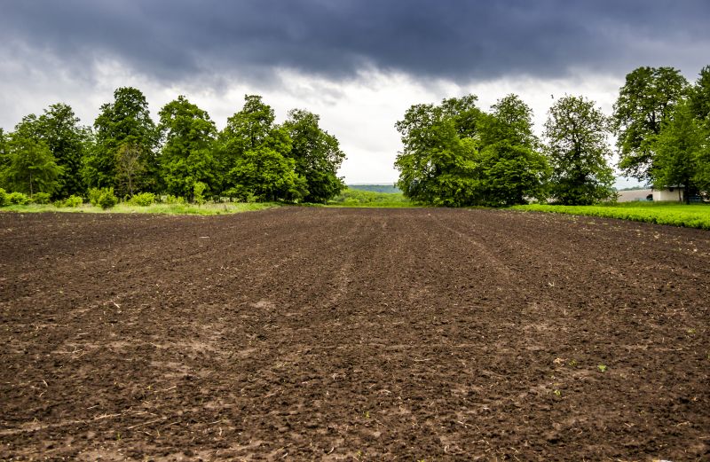 Farm Clearing in Marietta, GA