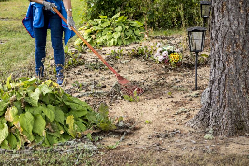 Ground Clearing in Cumming, GA