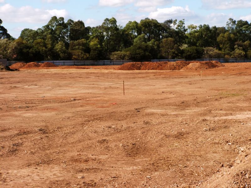 Site Clearing Service in Cumming, GA