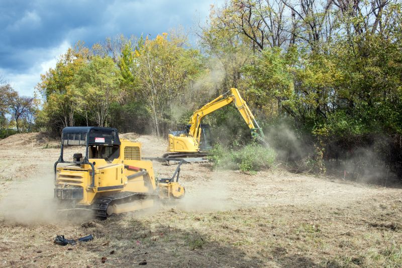 What’s Involved In Professional Land Clearing?
